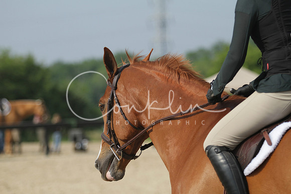 IMG_0266-
