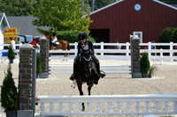 HSM_2028