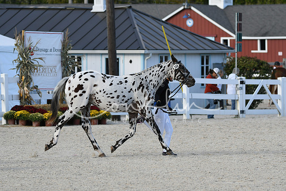HSM_5494