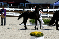HSM_4693