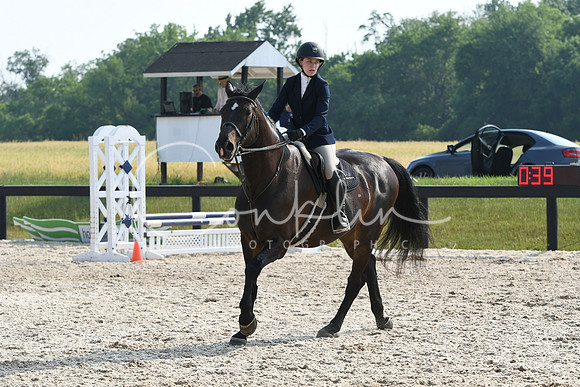 HSM_4118