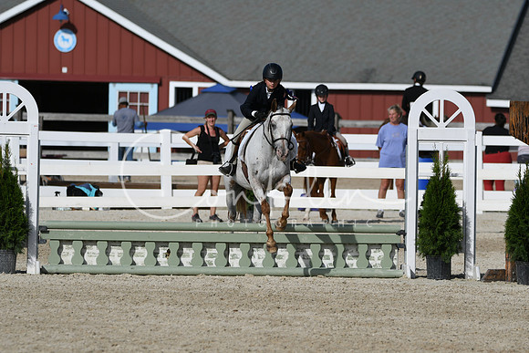 HSM_4135
