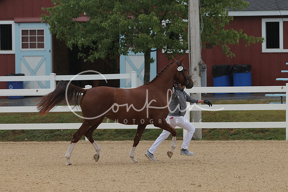 HLK_3721