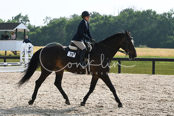 HSM_4115