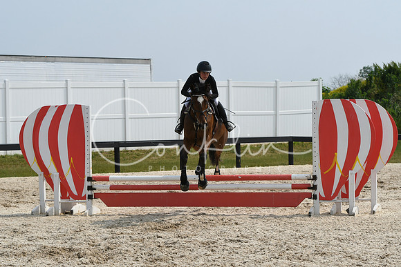 HSM_4553