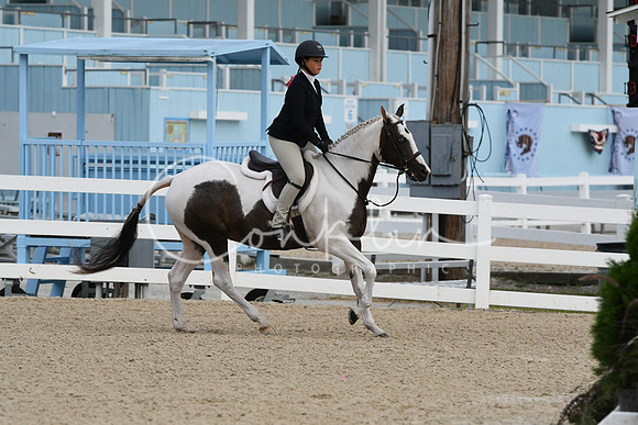 HSM_5228