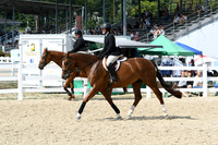 HSM_9304