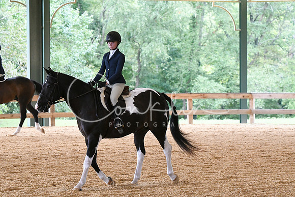 HSM_1466