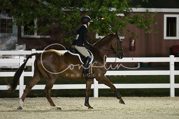 HSM_0699