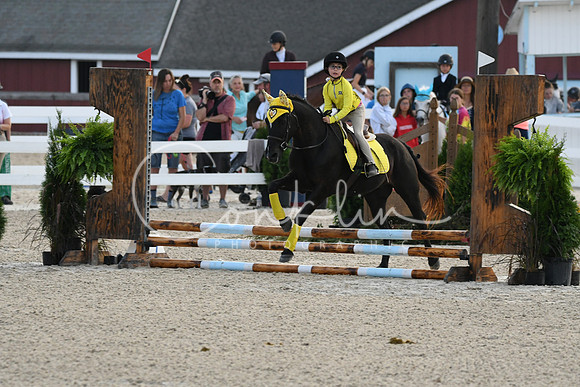 HSM_0859