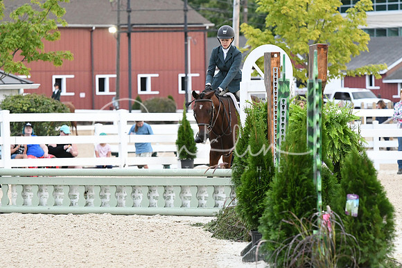 HSM_4942