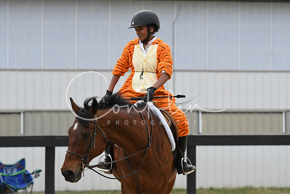 HSM_5938