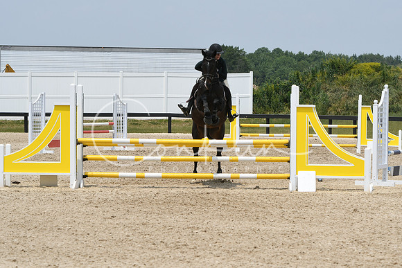 HSM_5228