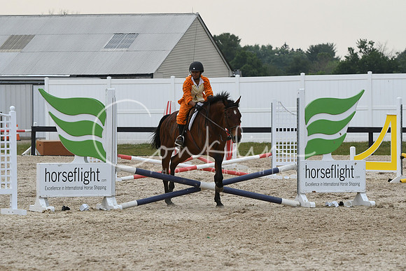 HSM_5928