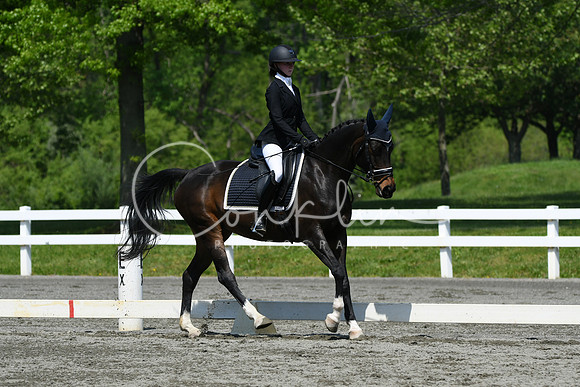 HSM_2303
