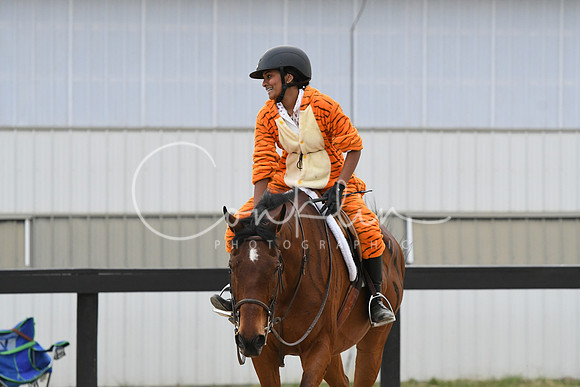 HSM_5936