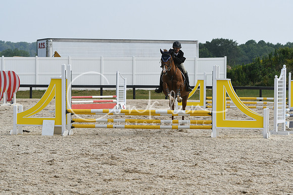 HSM_4367