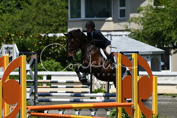 HSM_3086