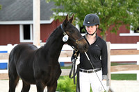 HSM_6342