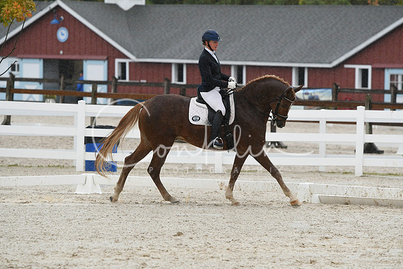 HSM_0542