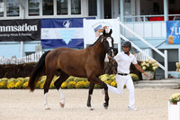 RJC35575