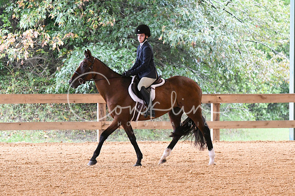 HSM_2331