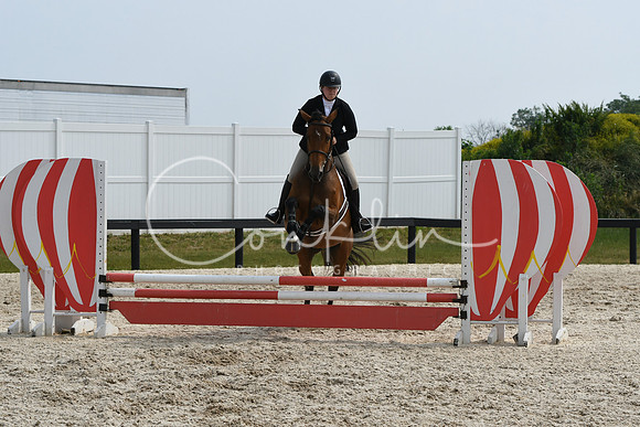 HSM_4462