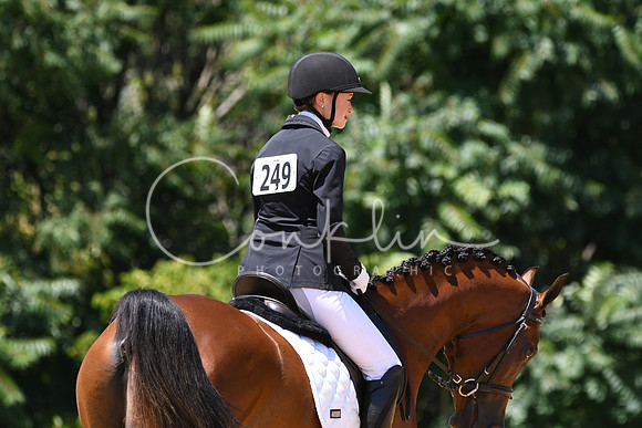 HSM_1475