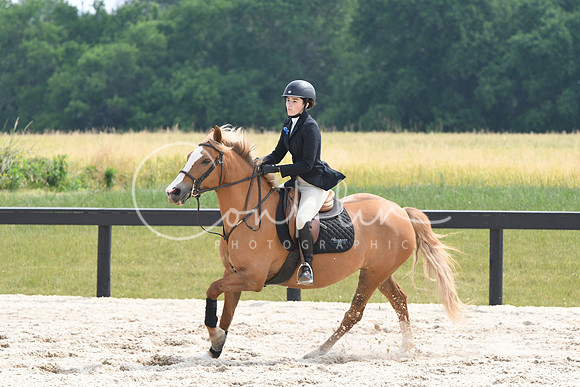 HSM_4539