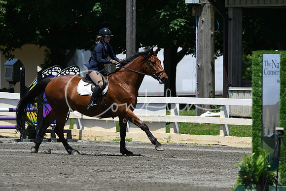 HSM_3144