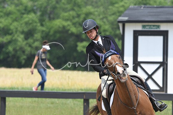 HSM_5317