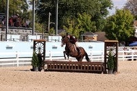 RJC34194