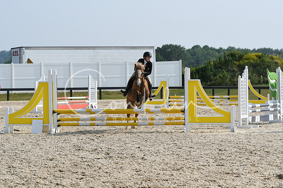 HSM_4197