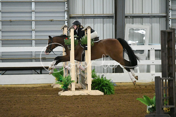 HSM_5711