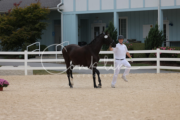 HLK_2203