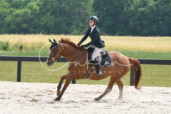 HSM_4528