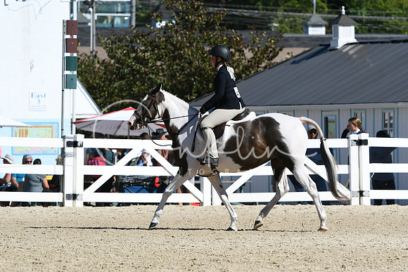 HSM_2566