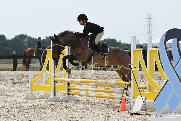 HSM_4481