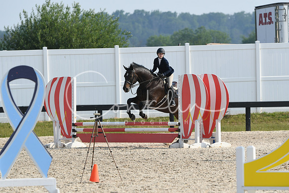 HSM_4113