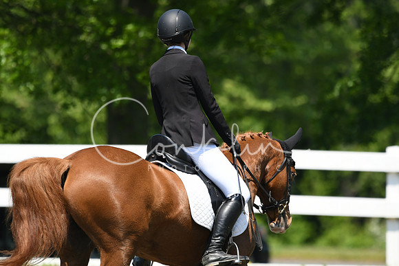 HSM_1557