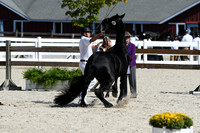 HSM_4752