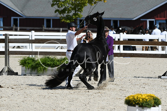 HSM_4752