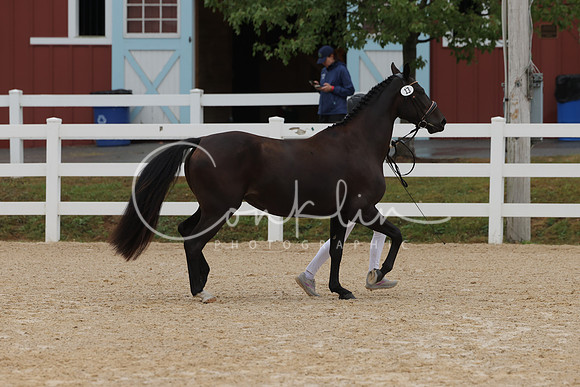HLK_3359
