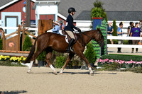 HSM_9828