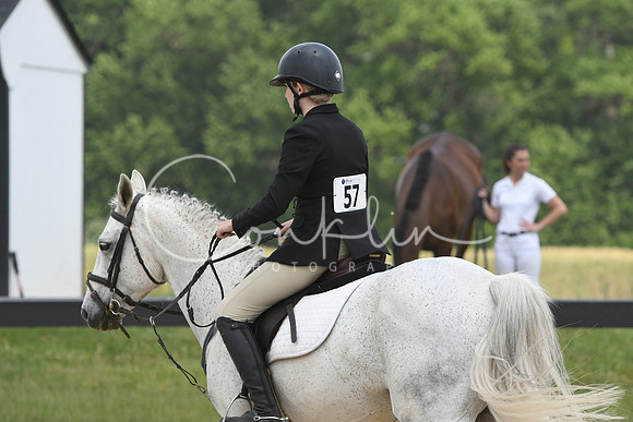 HSM_5331