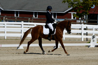 HSM_6766
