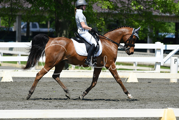 HSM_1307