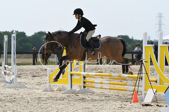 HSM_4482