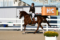 HSM_4301