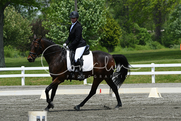 HSM_0453